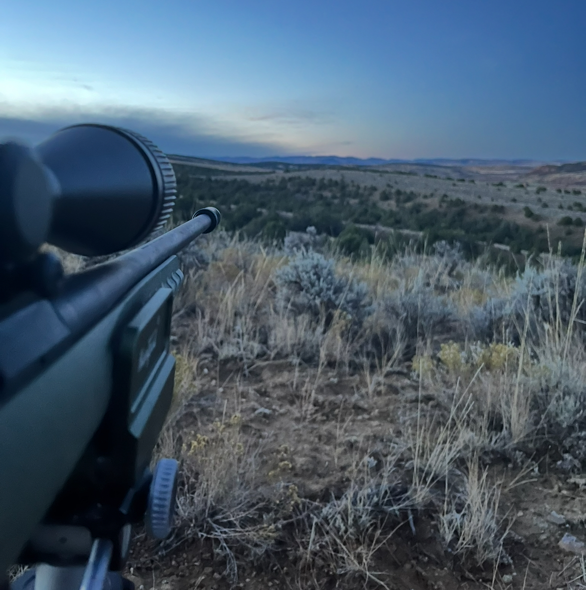 Getting Skunked a Life Lesson