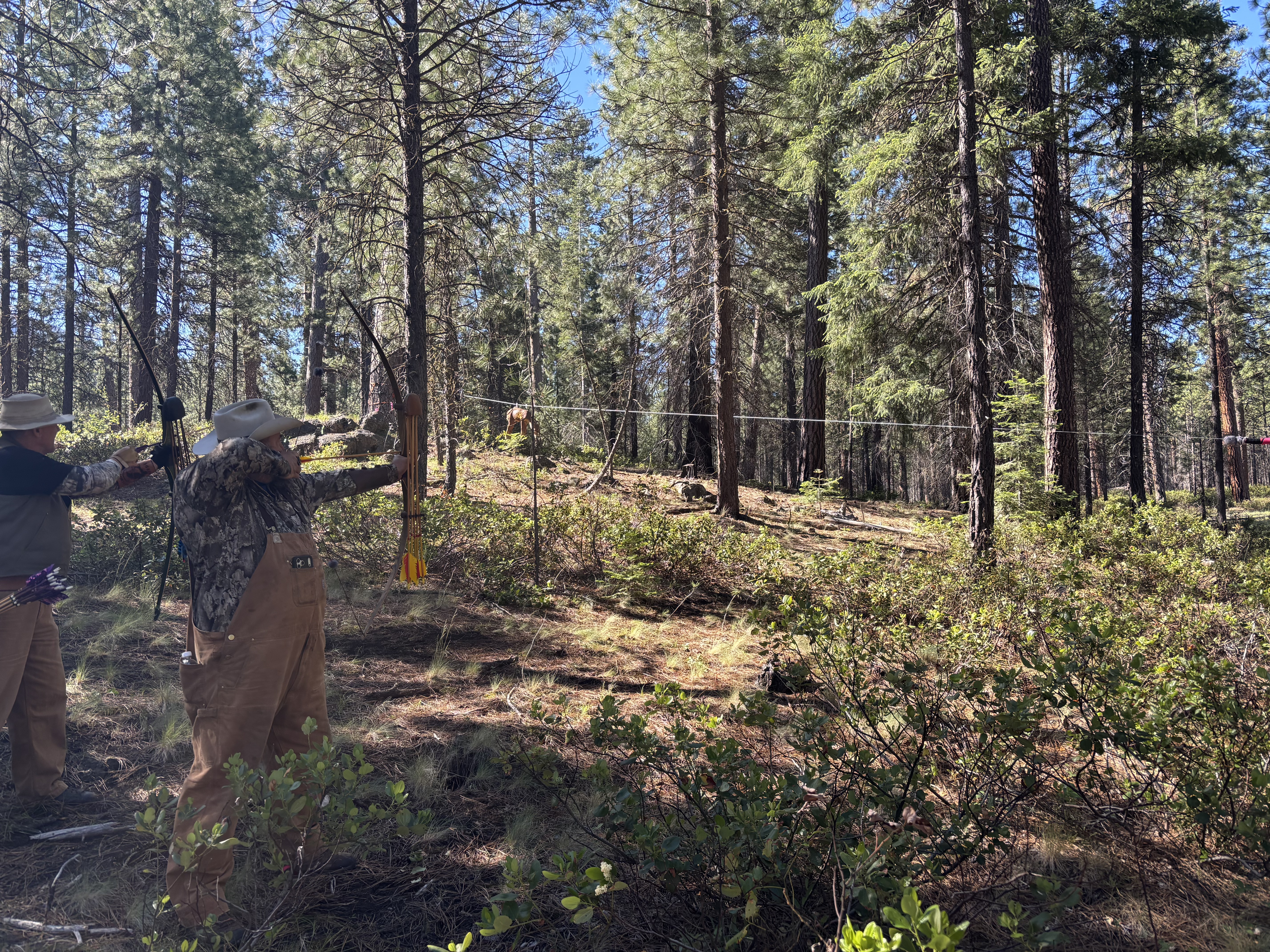 Shooting Season: A Summer of 3-D Archery